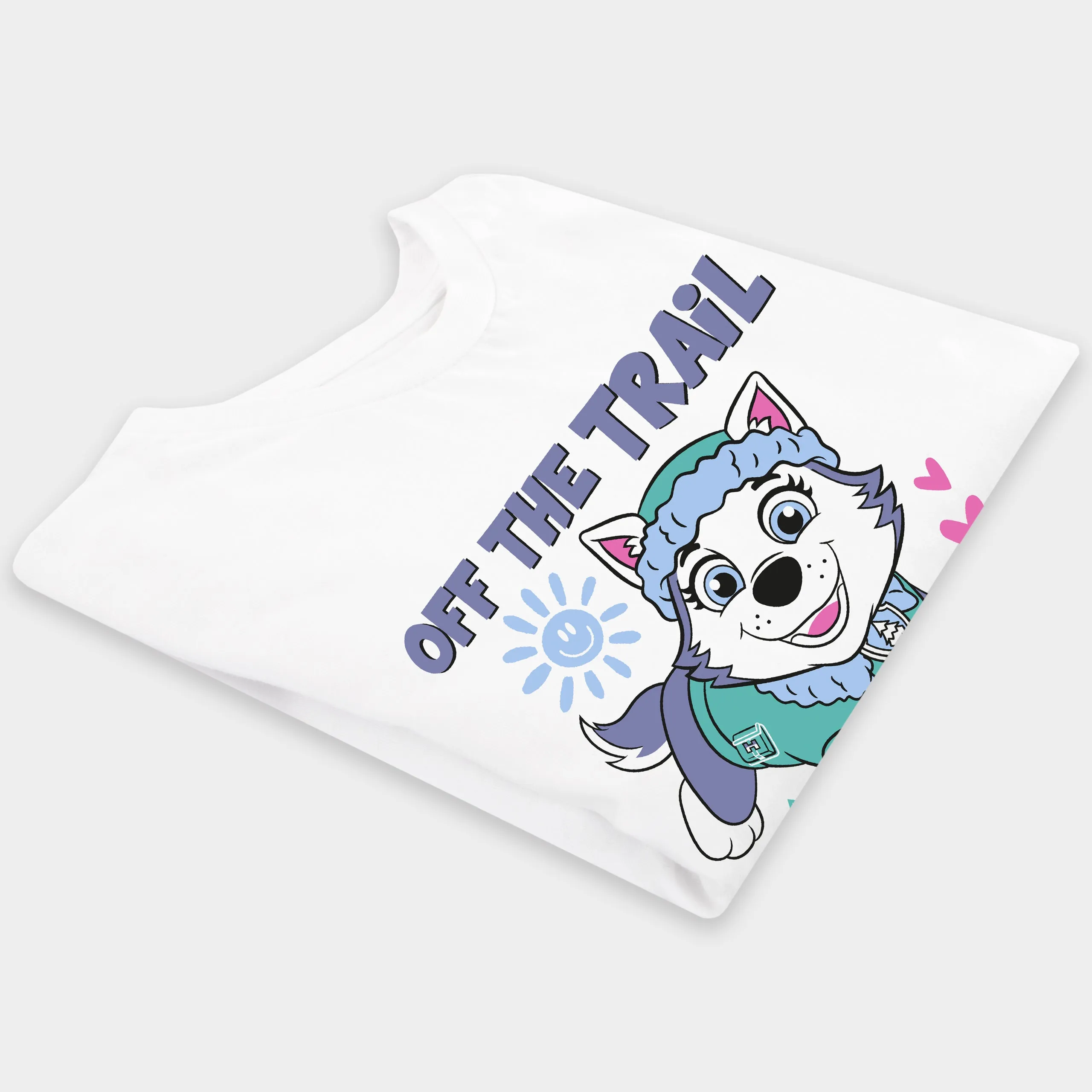 PAW Patrol T-Shirts 2 Pack - Everest And Skye